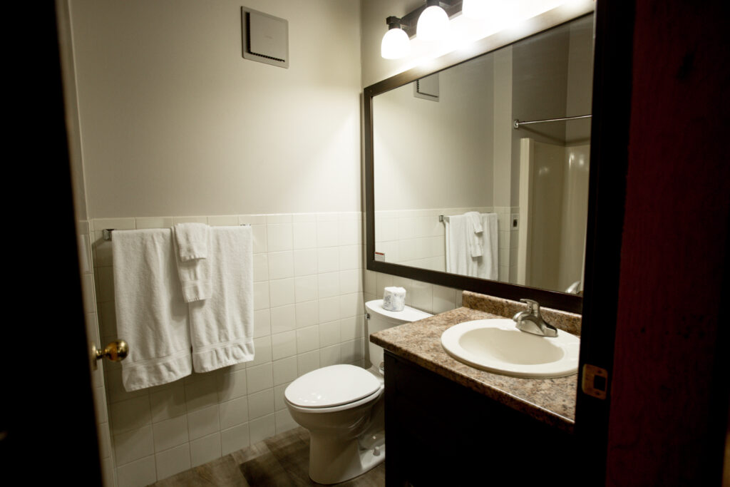 Main Standard 1 King - Washroom