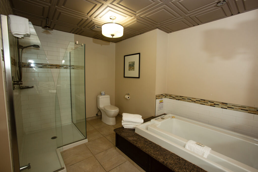 Oak Jacuzzi Suite standing shower cabin + jacuzzi tub