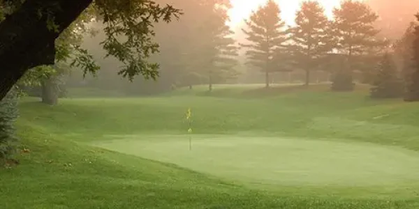 golf golf